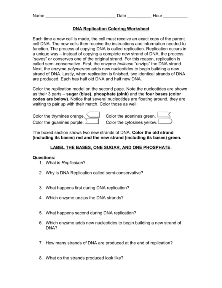 Dna Replication Coloring Worksheet
