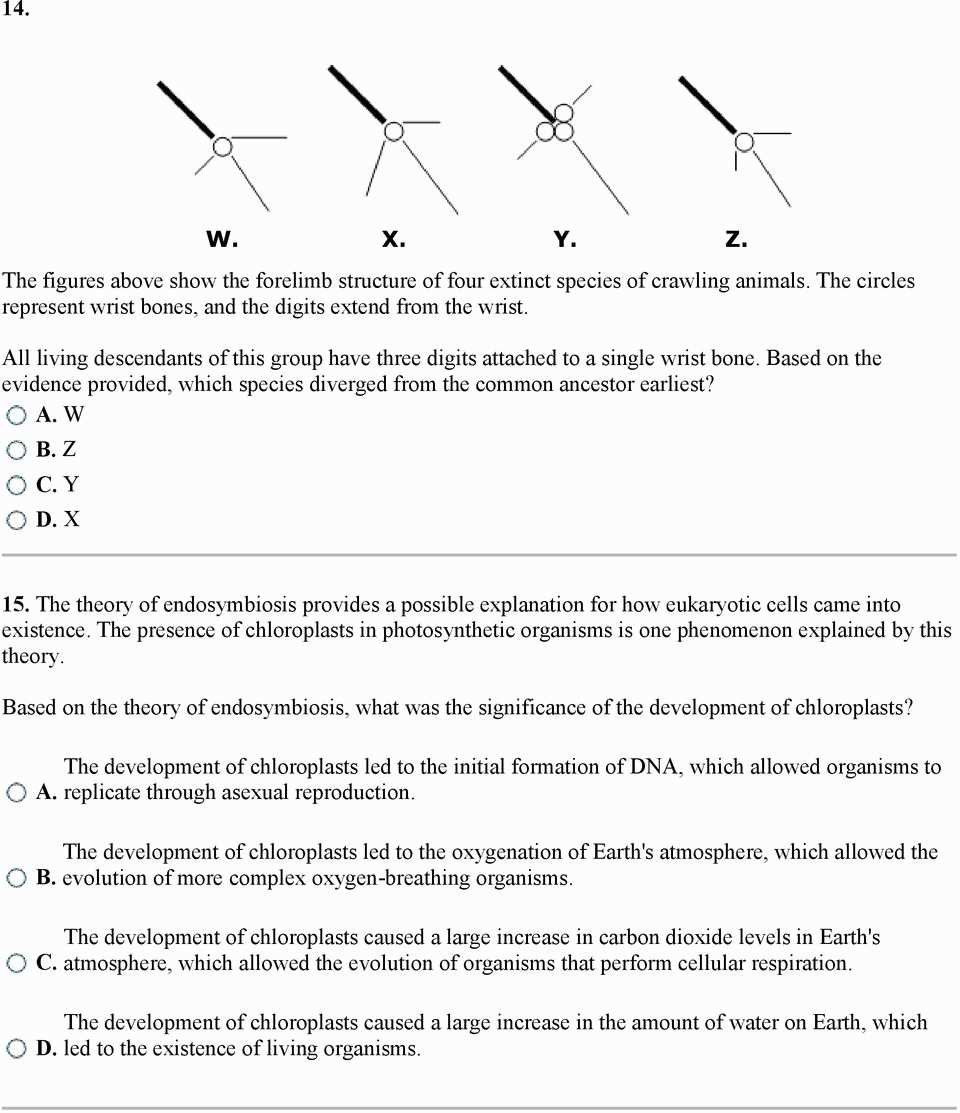 Dna Replication Coloring Worksheet Answer Key Db excel