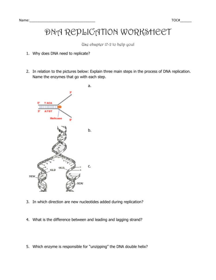 Dna Replication Coloring Worksheet Figurative Language