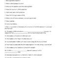Dna Replication Review Worksheet