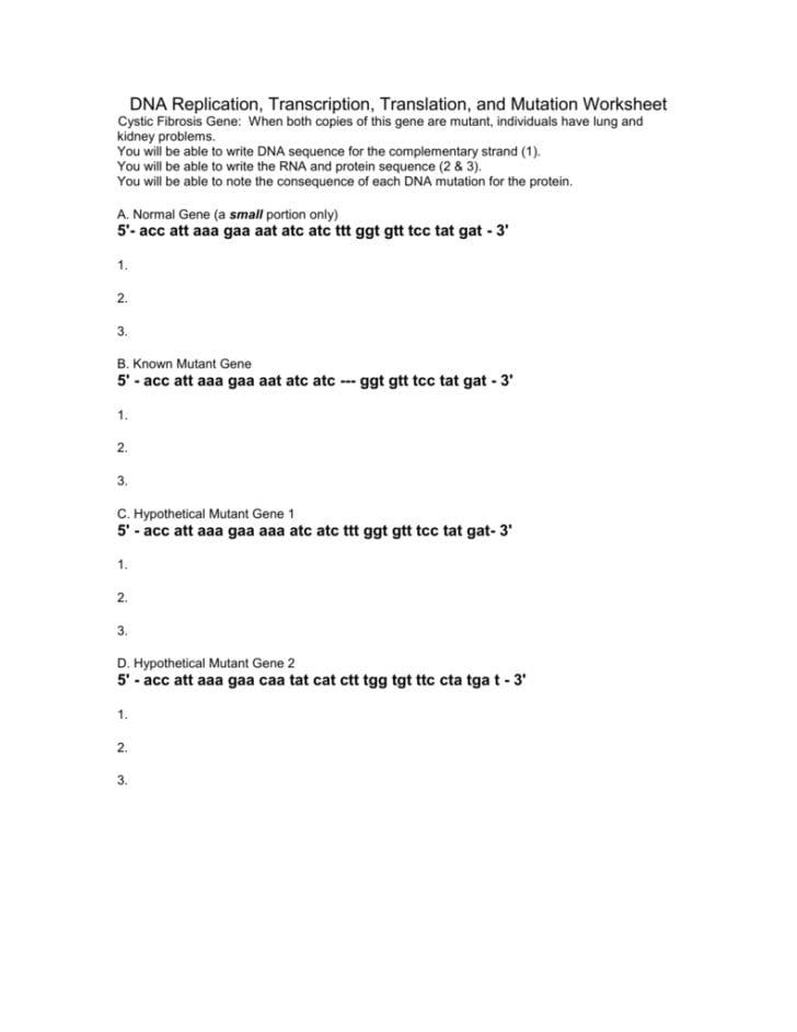 Dna Replication Transcription Translation And Mutation — db-excel.com