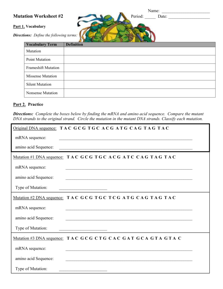 Dna Replication Transcription Translation And Mutation Worksheet