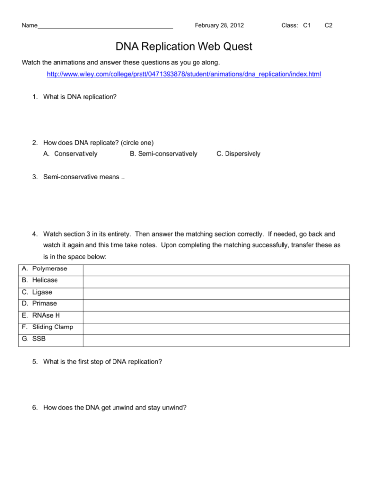 Dna Replication Web Quest