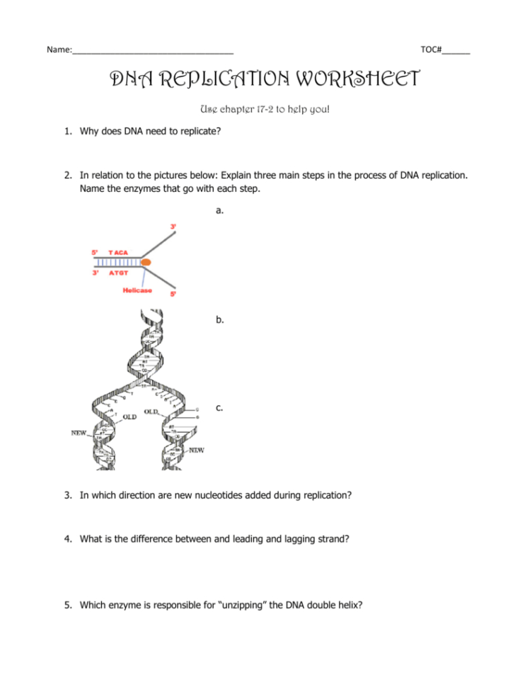 Dna Structure Worksheet Answer Key