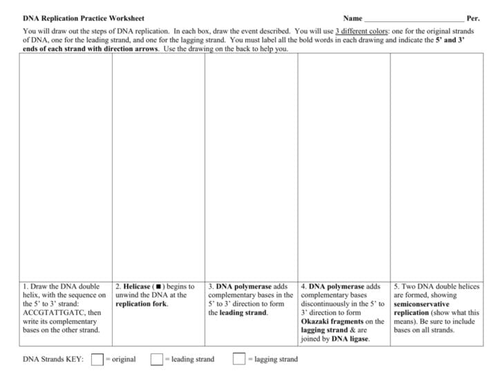 Dna And Replication Worksheet
