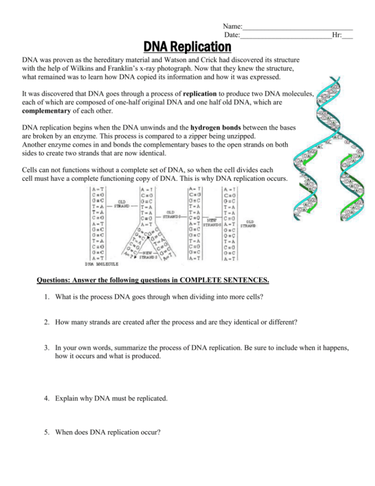 Dna Replication Worksheet 2015