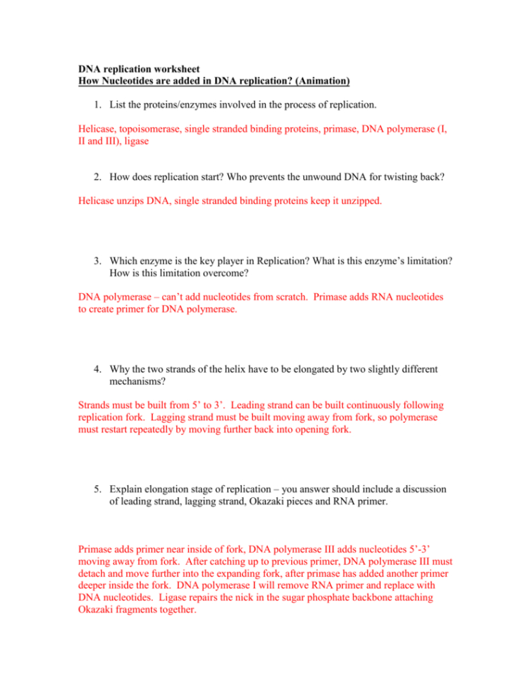 Dna Replication Worksheet – Tch The Animations And Answer