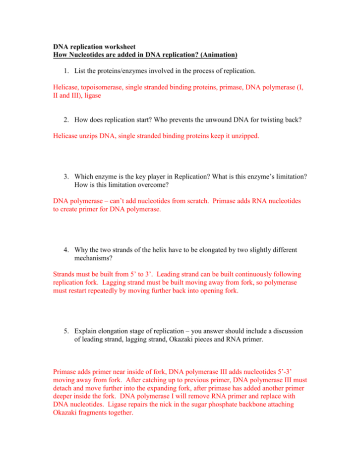 Dna Replication Worksheet Answer Key — db-excel.com