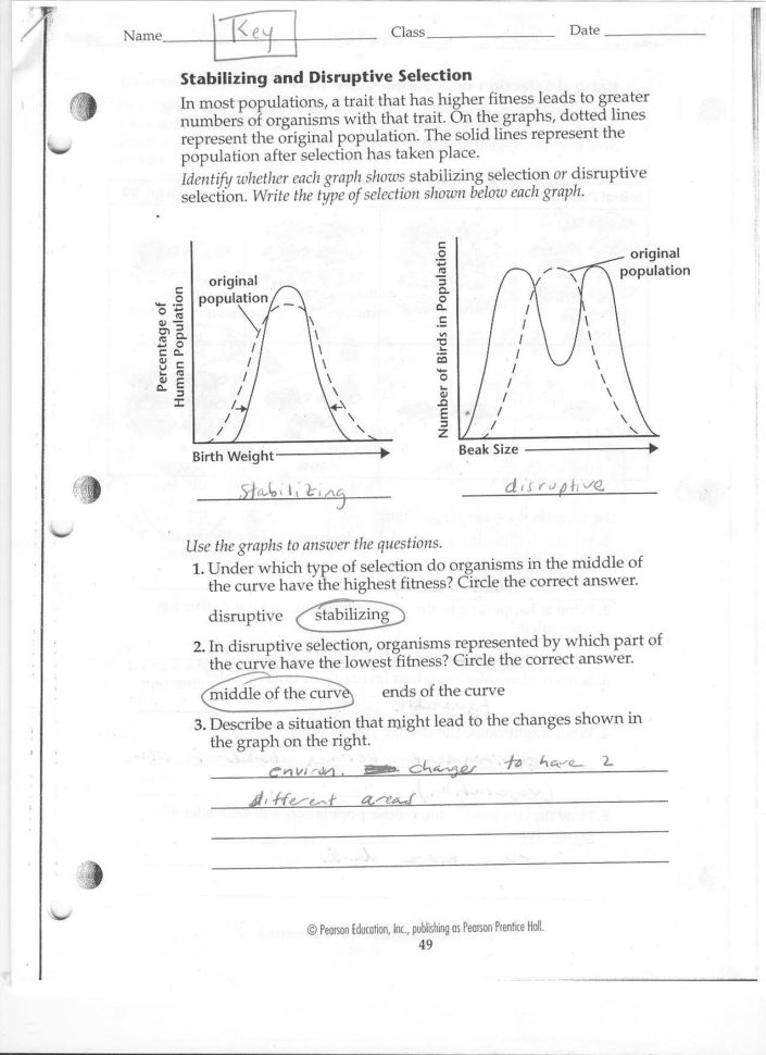 Dna Review Worksheet Answer Key   Worksheet