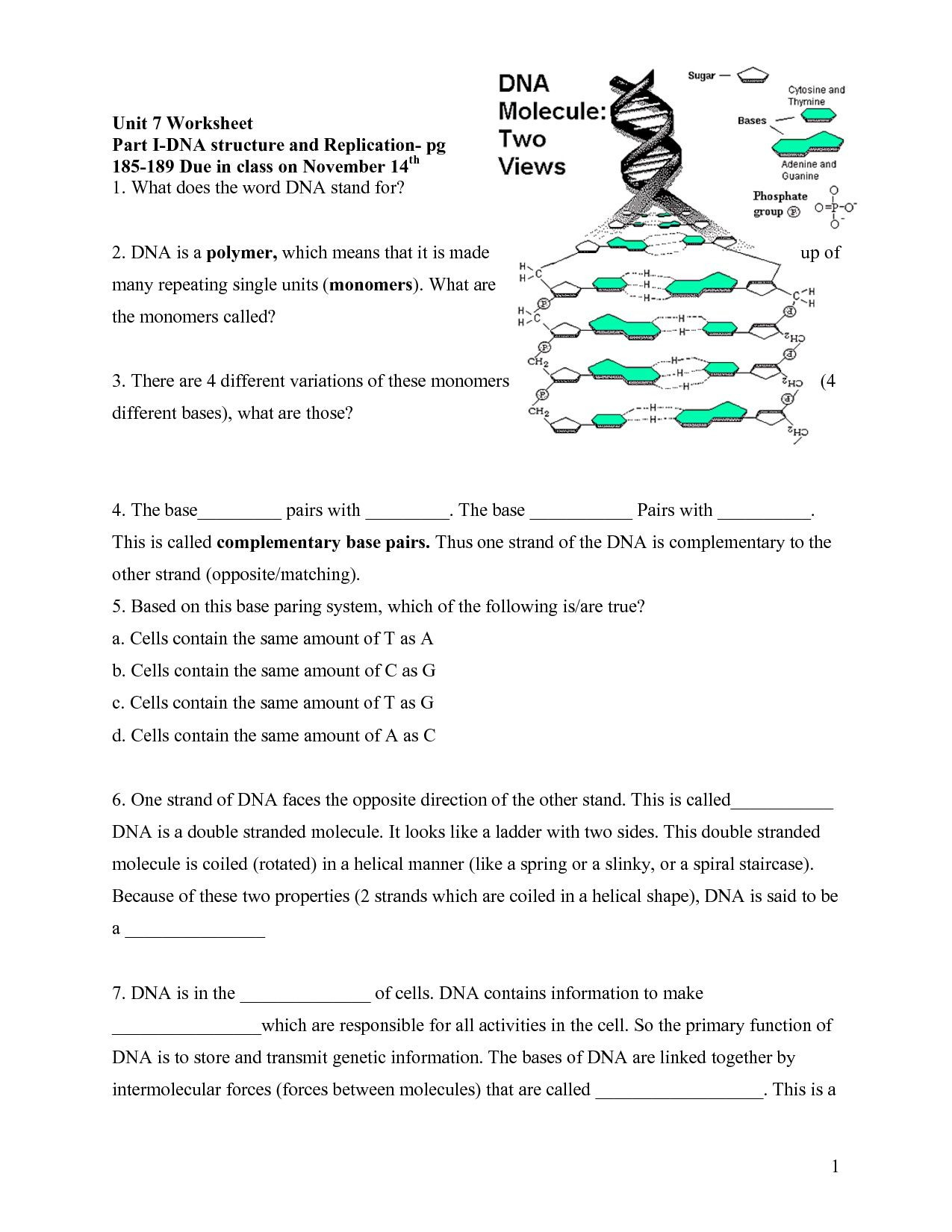 worksheet dna rna and protein synthesis biology chapter 6 9