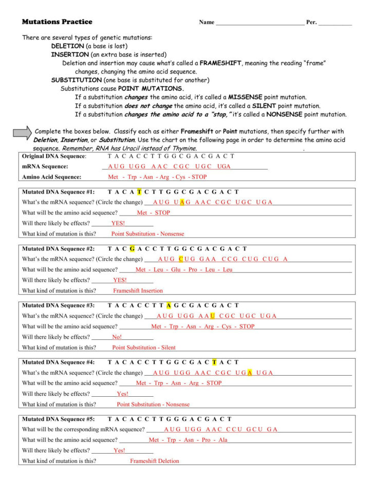 Dna Rna And Protein Synthesis Worksheet Answer Key — db-excel.com