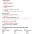 Dna Rna Protein Synthesis Cros Dna Rna And Protein Synthesis