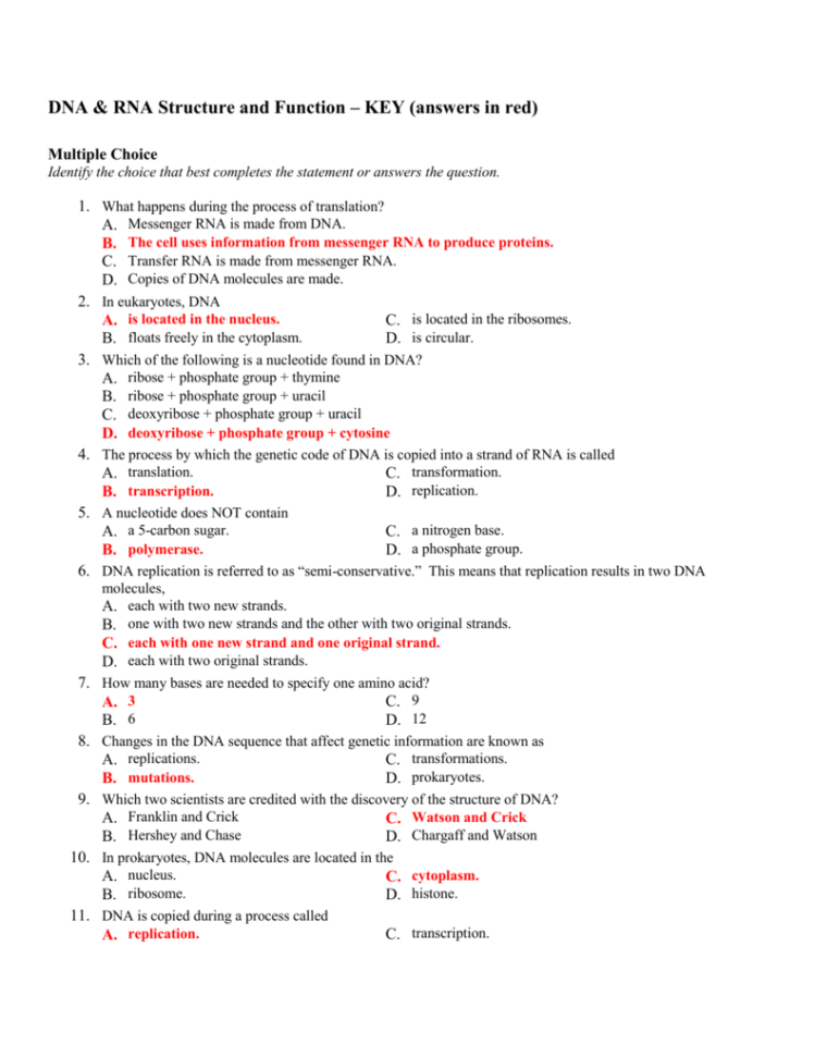 Dna  Rna Structure And Function