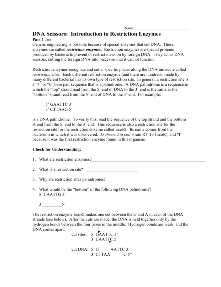 Dna Scissors Introduction To Restriction Enzymes