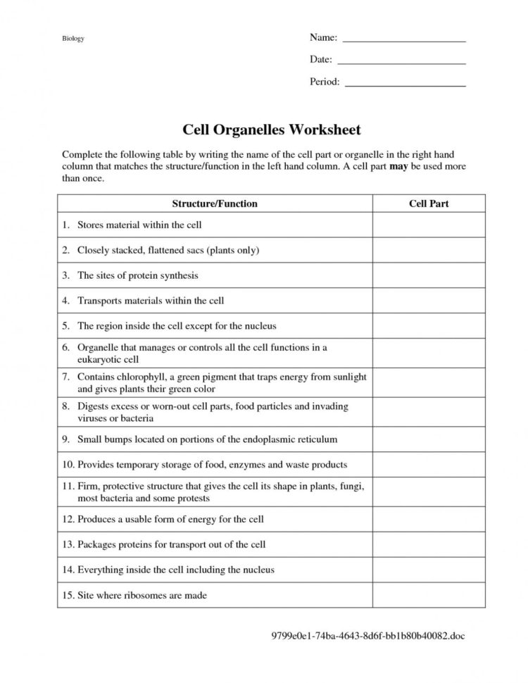 Dna Structure And Function Worksheet