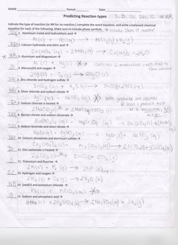 Dna Structure And Function Worksheet