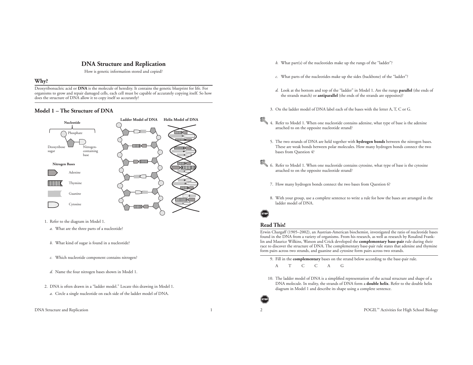 Dna Structure And Replication Answer Key  Netvs