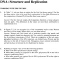 Dna Structure And Replication  Pdf