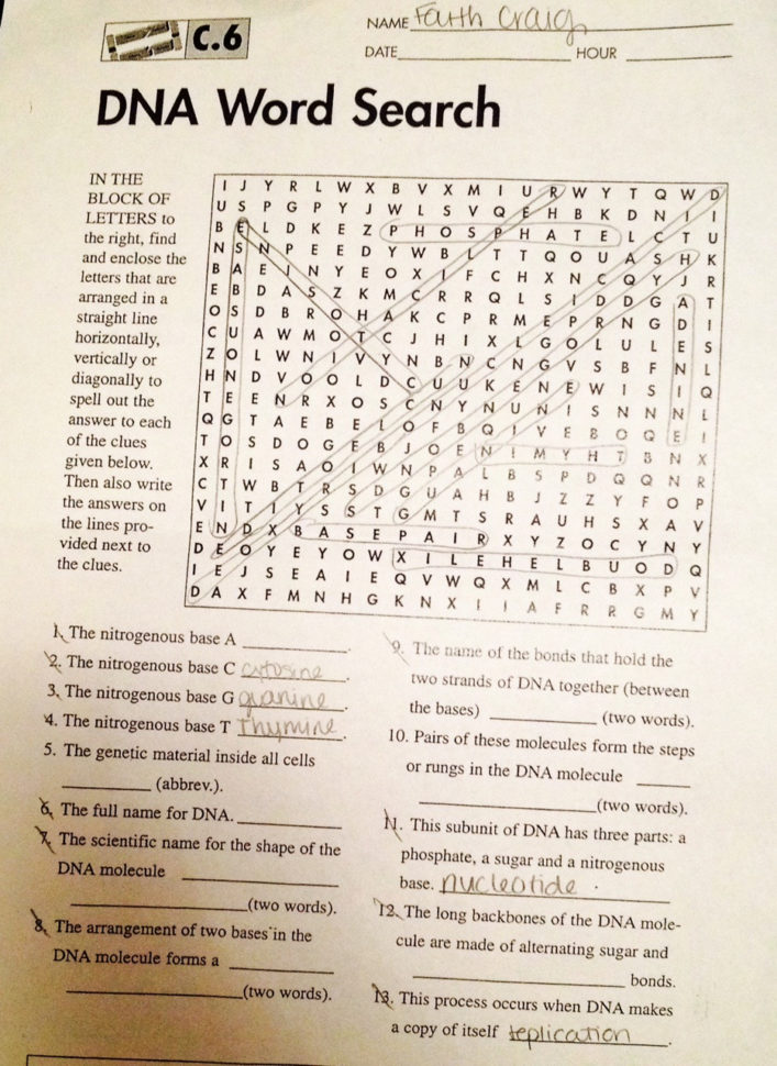 Dna Structure  Faiths Bio Blog