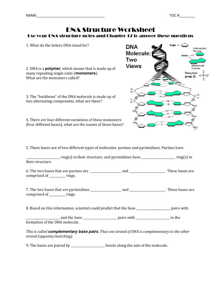 Dna Worksheet Answers Db excel