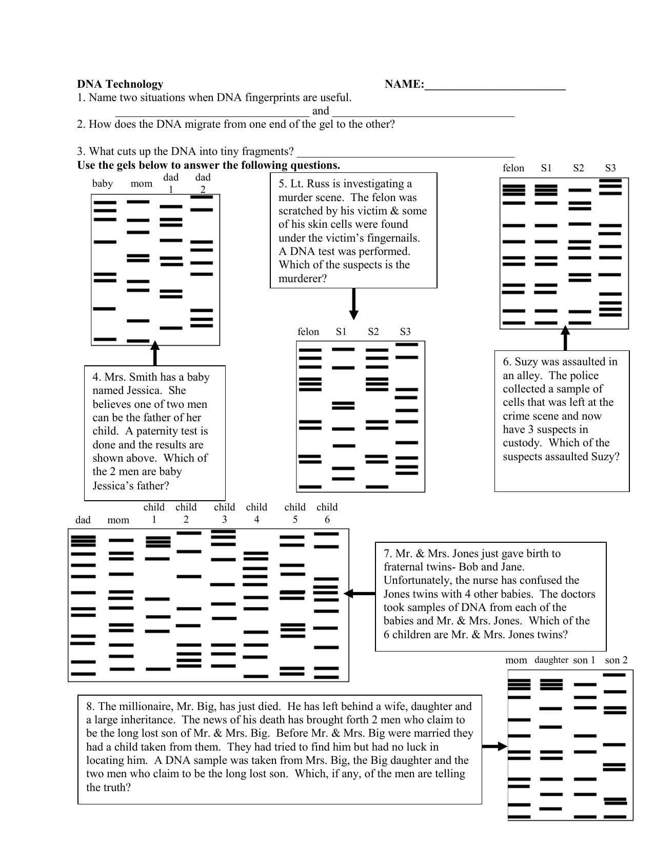 Dna Fingerprinting Activity Worksheet Answer Key Islero Guide Answer For Assignment