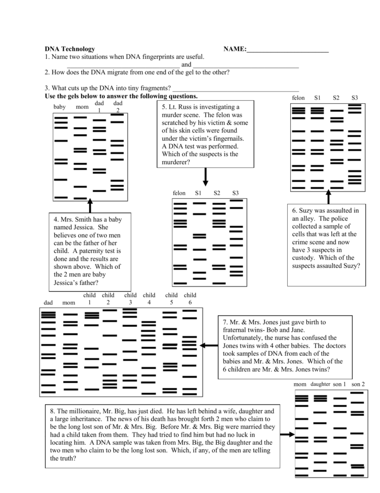 Dna Technology Worksheet