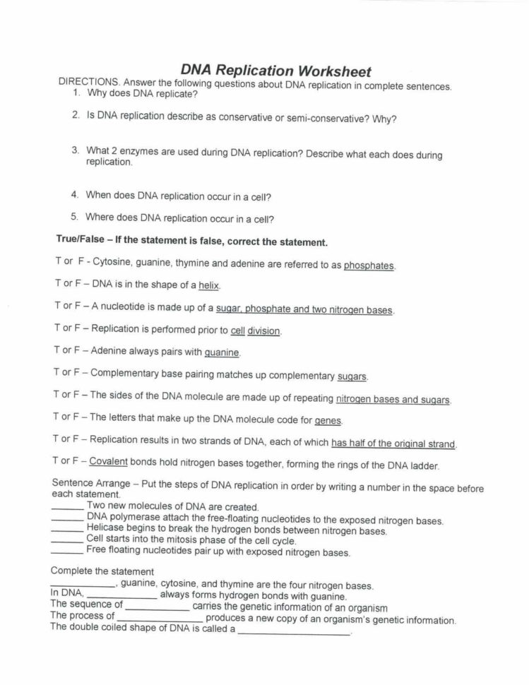Dna The Double Helix Worksheet Answer Key db excel com