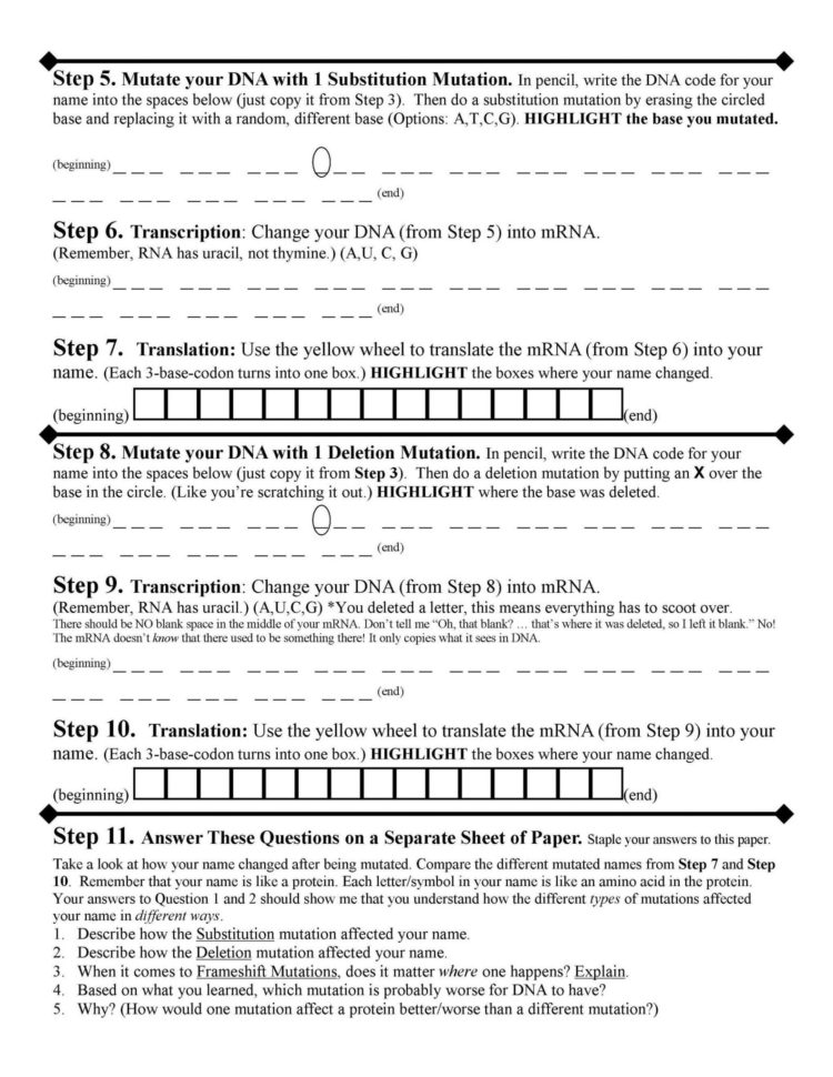 40 dna the double helix worksheet answers Worksheet Database