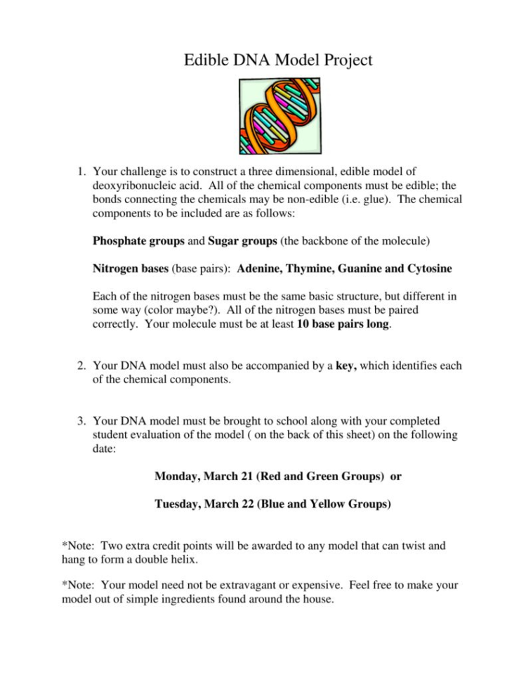 Dna The Double Helix Coloring Worksheet Answers