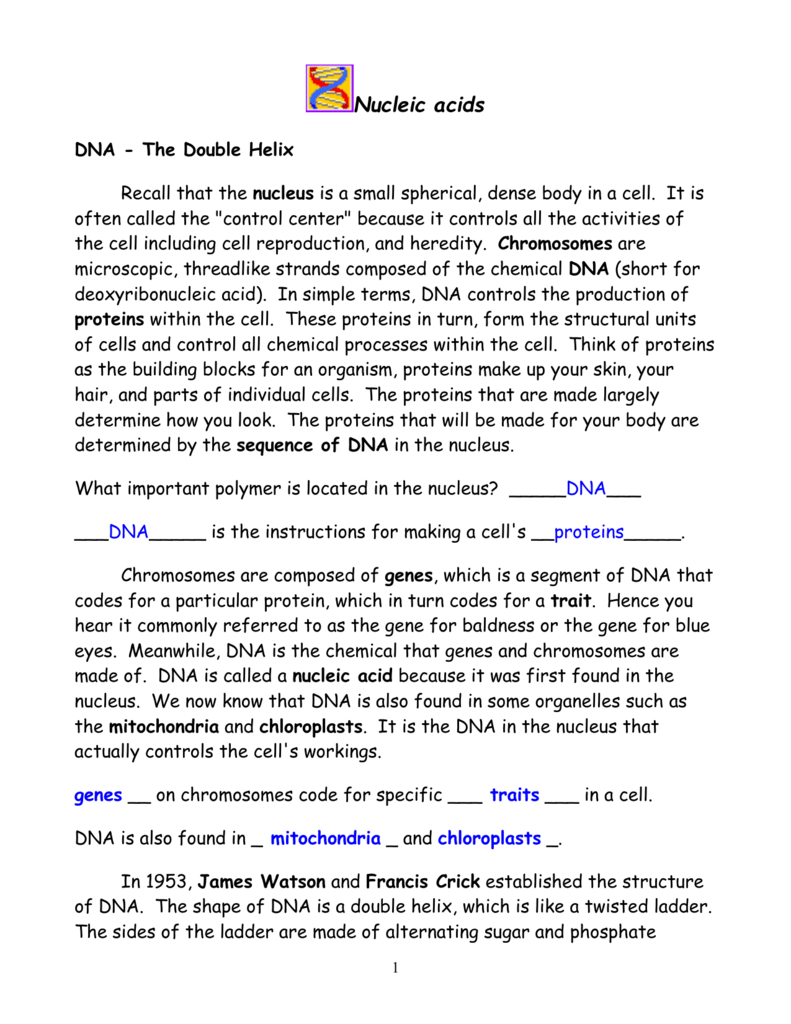 Dna The Double Helix Coloring Worksheet Math Worksheets