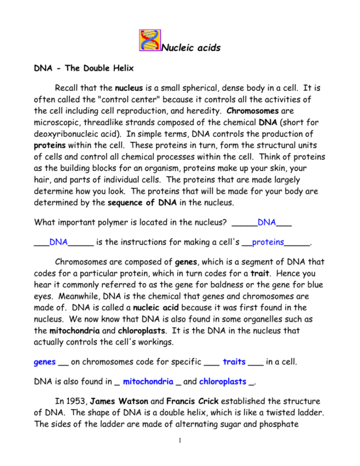 Dna The Double Helix Worksheet Answers — db-excel.com