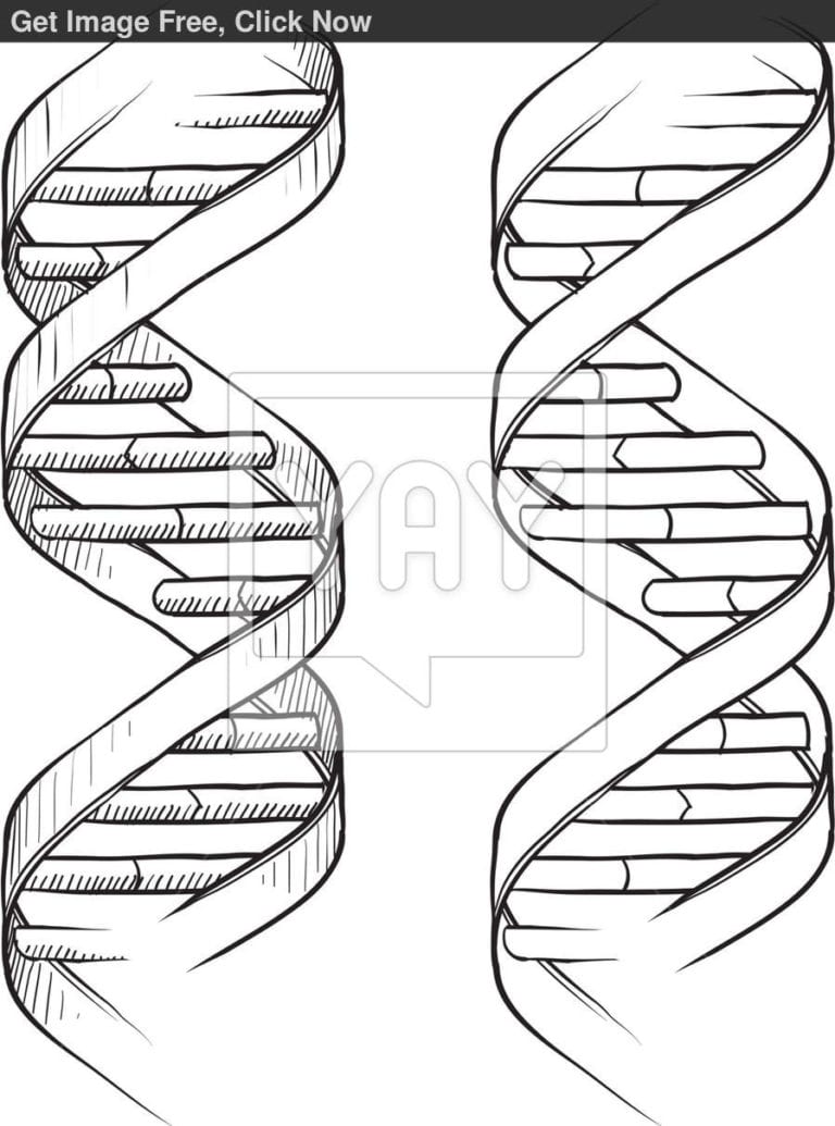 Dna The Double Helix Worksheet Dna Coloring Page Coloring Db excel