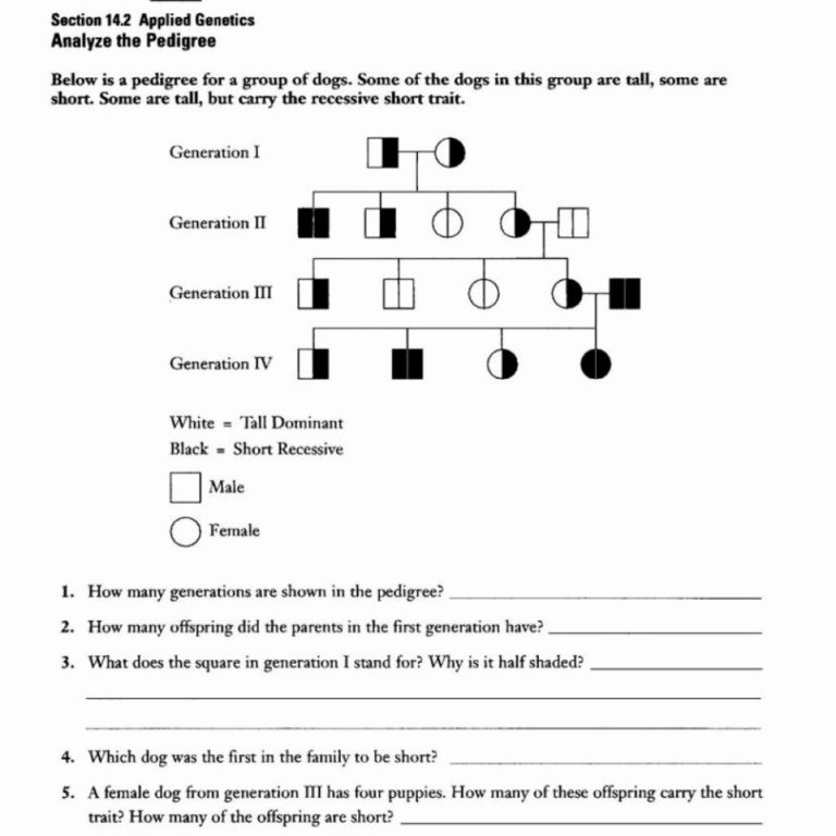 Dna The Molecule Of Heredity Worksheet Answers db excel com