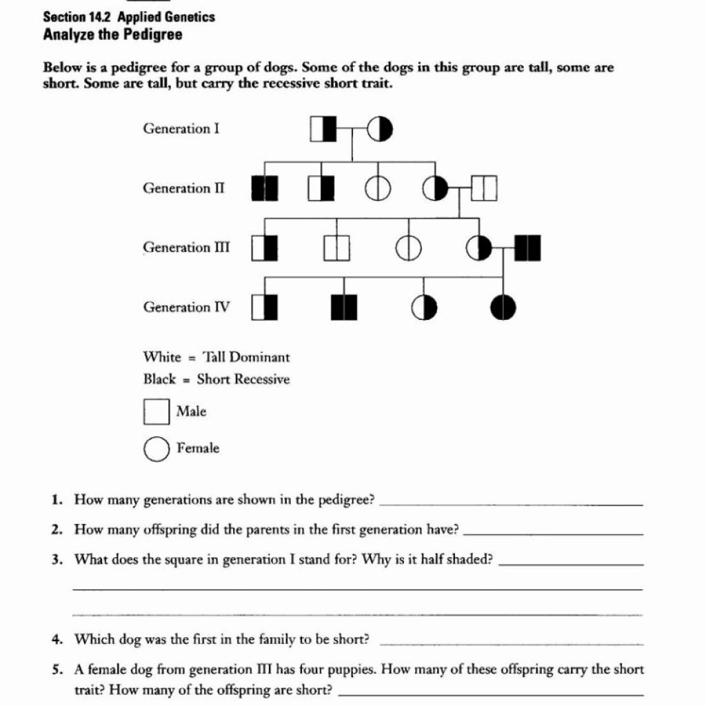 Dna The Molecule Of Heredity Worksheet Answers Db excel