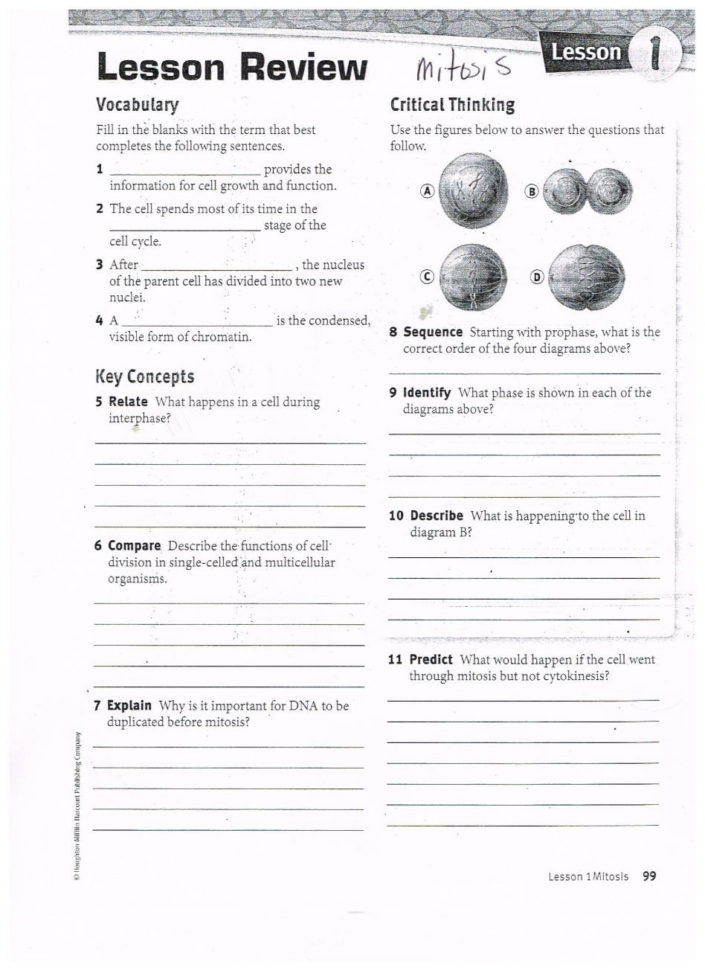 Dna The Molecule Of Heredity Worksheet Answers Dna Replication
