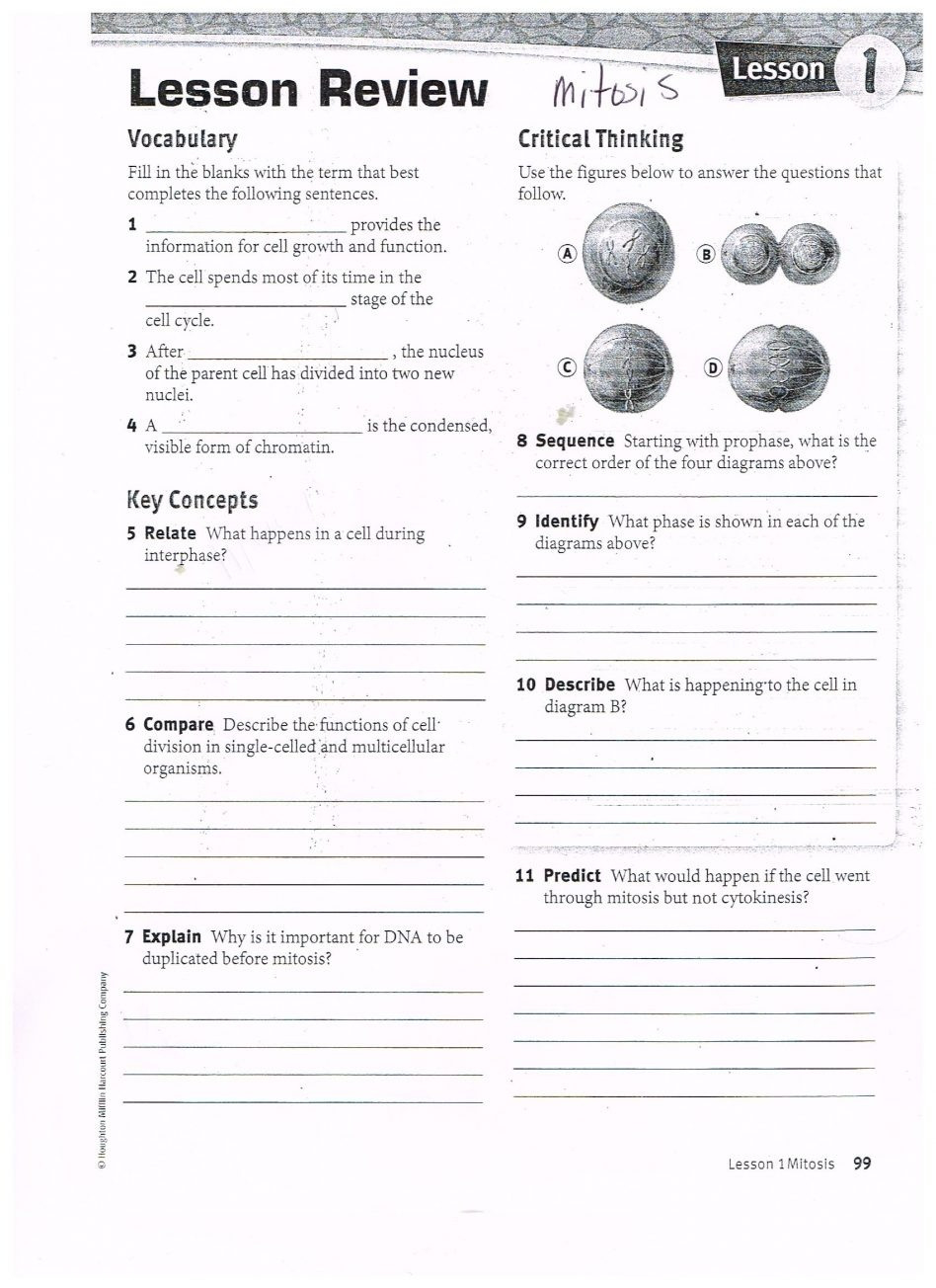 simple-interest-worksheet-with-answers