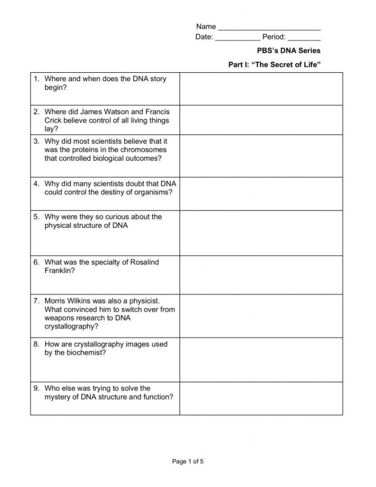 Dna The Secret Of Life Worksheet Answers Math Worksheets