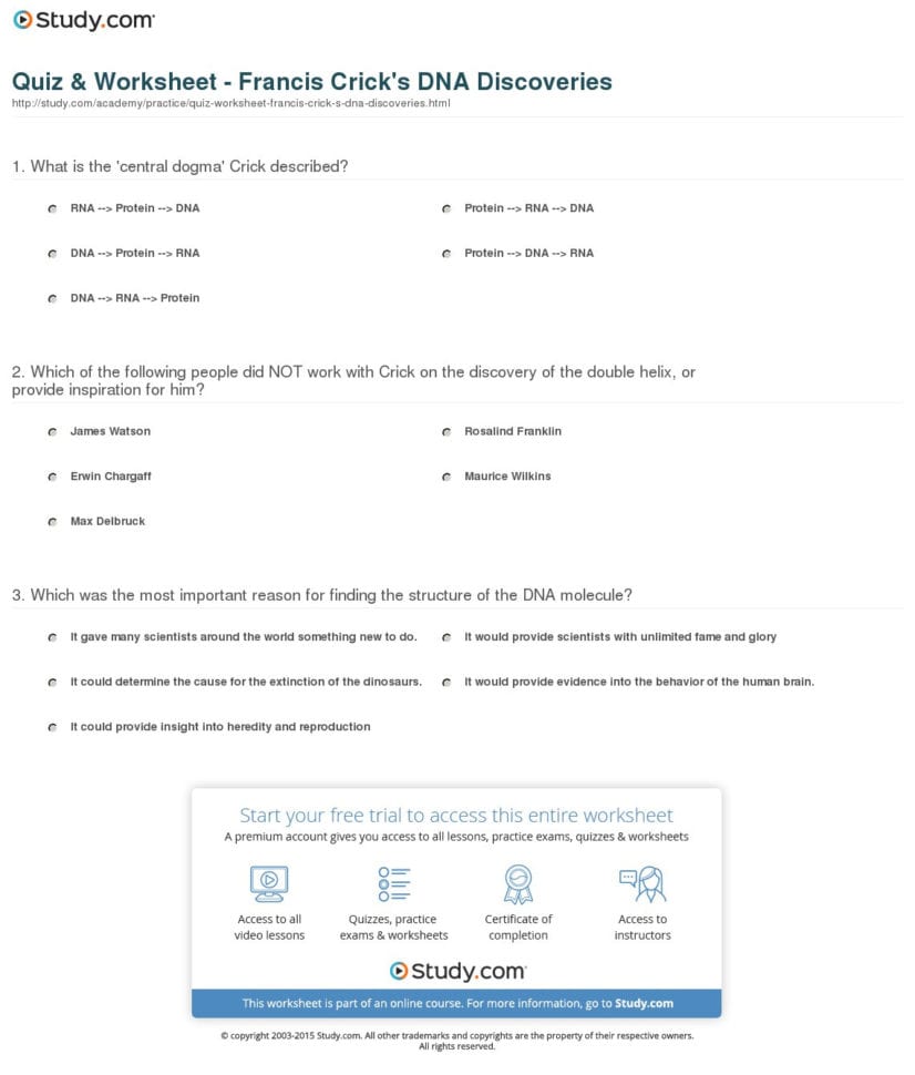 Dna Worksheet Key