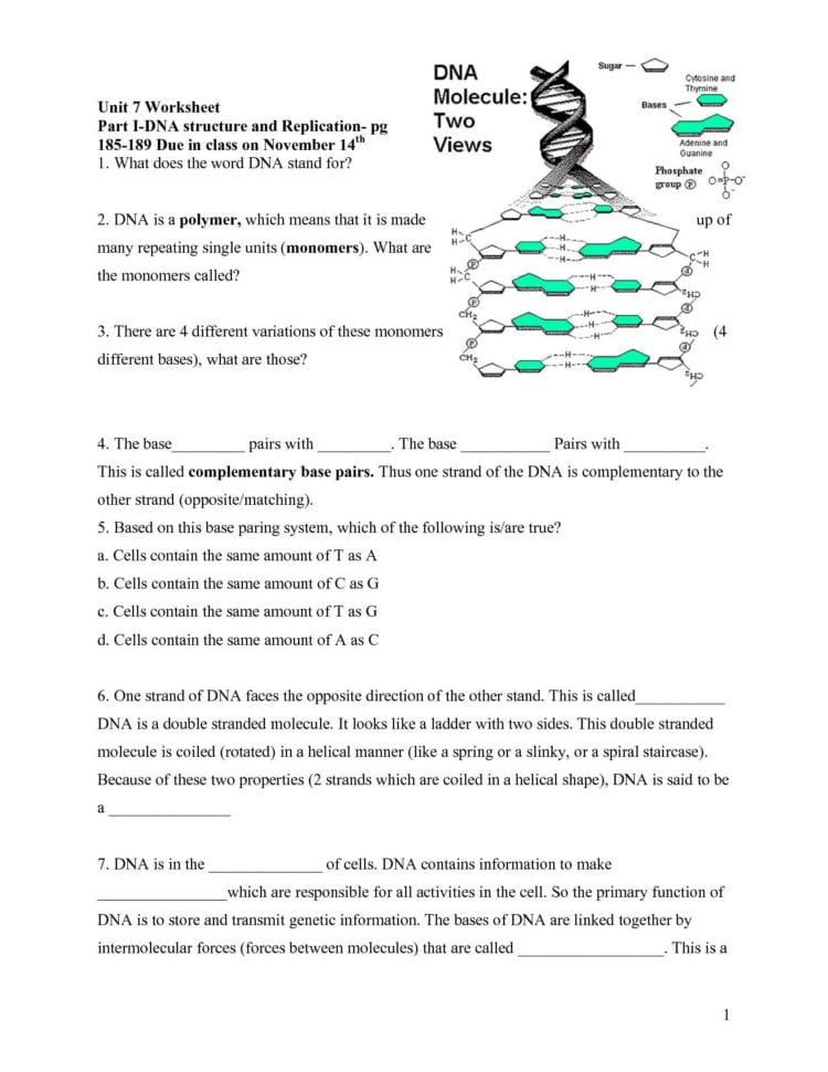 Dna Worksheet Key