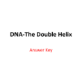 Dnathe Double Helix