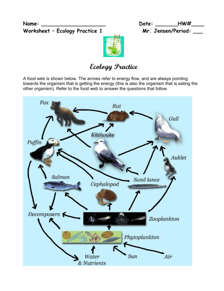Food Web Practice Worksheet