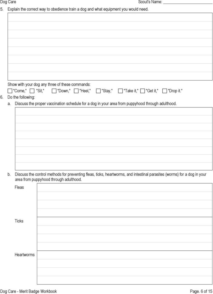Dog Care Merit Badge Workbook  Pdf