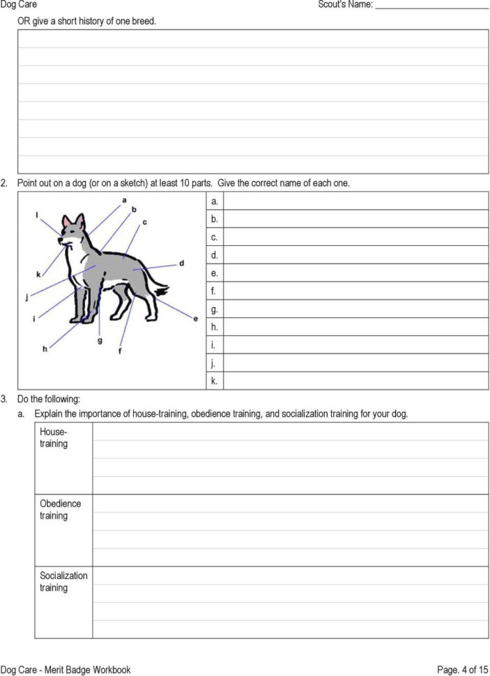 Dog Care Merit Badge Workbook  Pdf