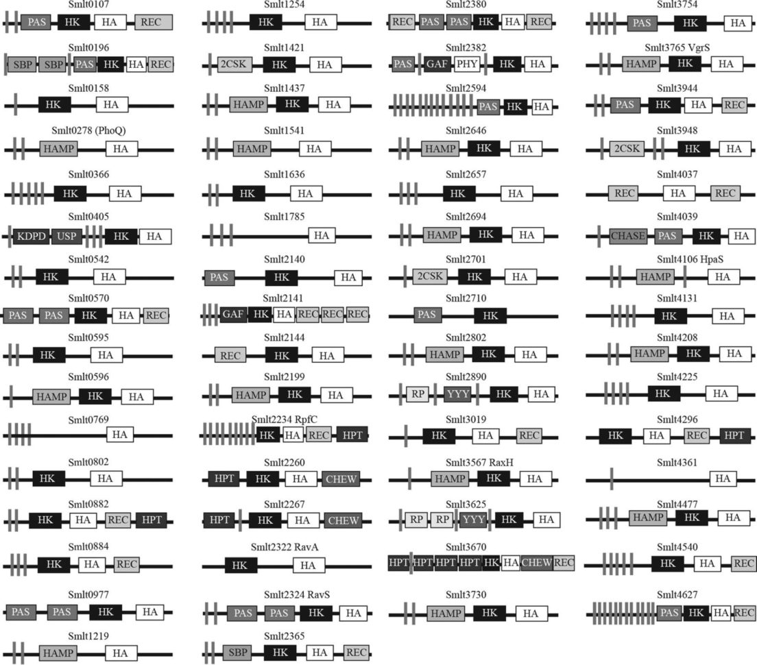 Domain 4 Measurement And Data Worksheet