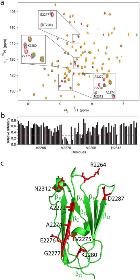 Domain 4 Measurement And Data Worksheet