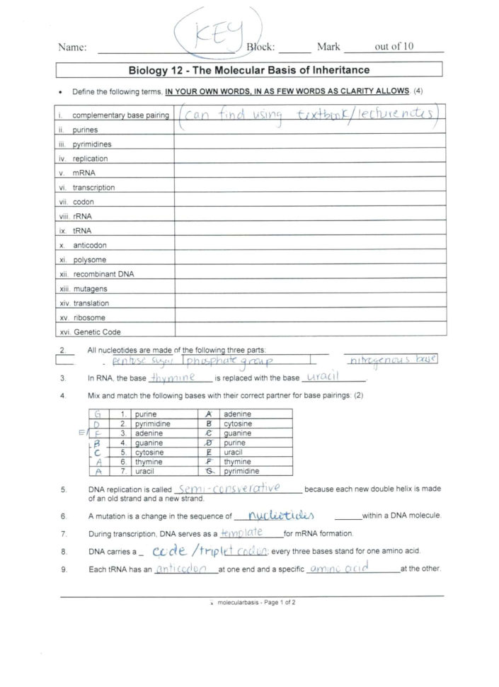 Double Helix Coloring Worksheet Answers – Lagunapaperco
