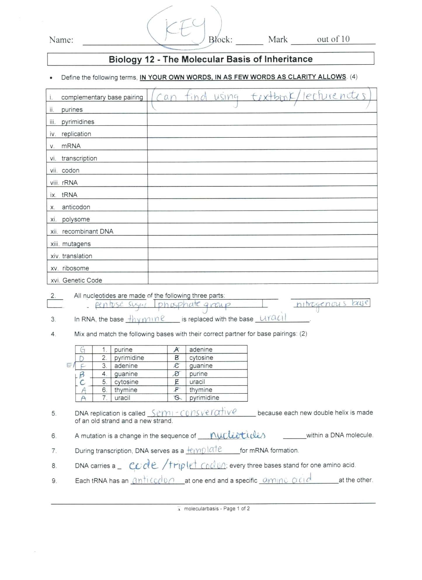 Double Helix Coloring Worksheet Answers – Lagunapaperco