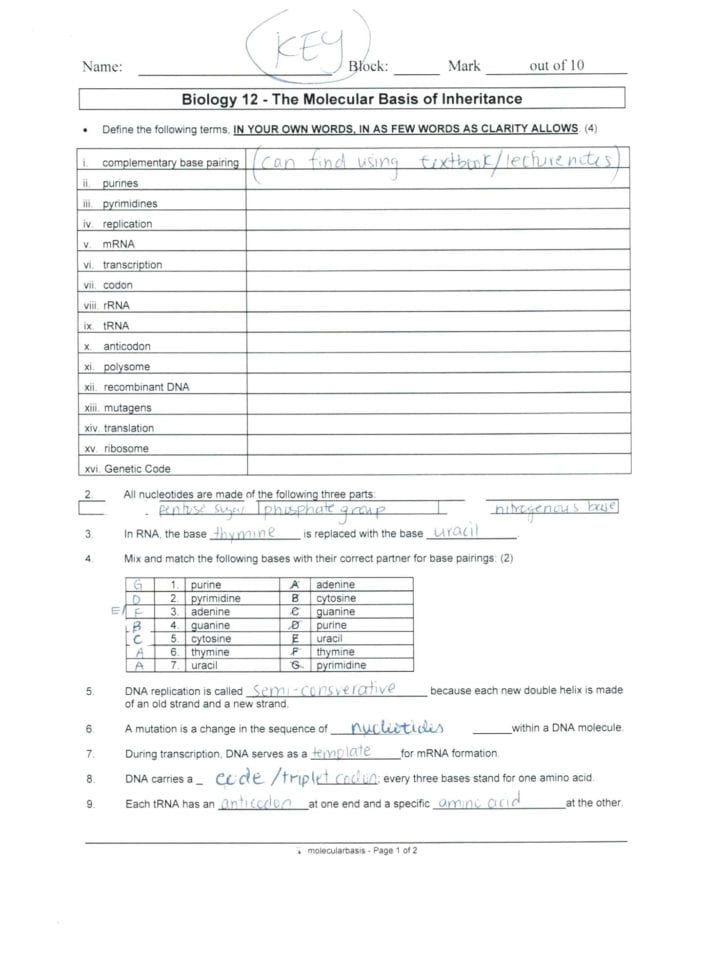Double Helix Coloring Worksheet Answers – Lagunapaperco