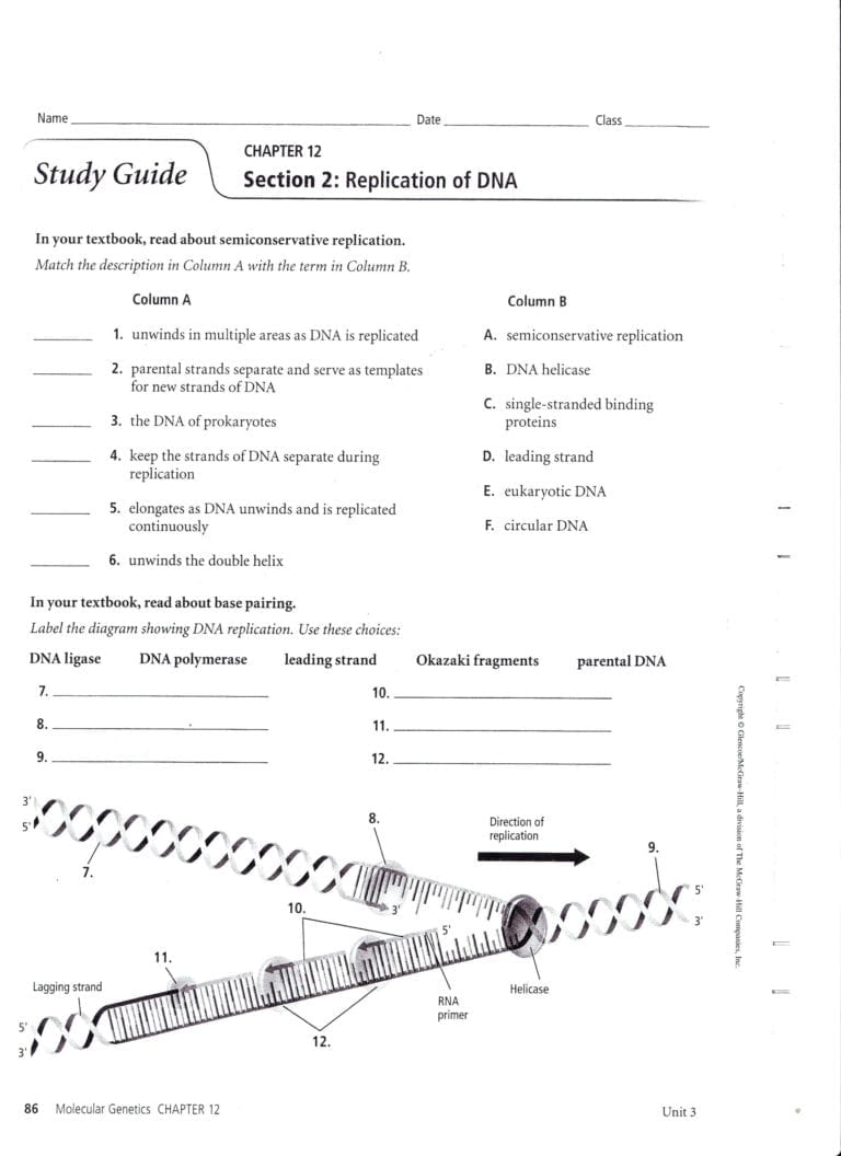 Double Helix Coloring Worksheet Answers — db-excel.com