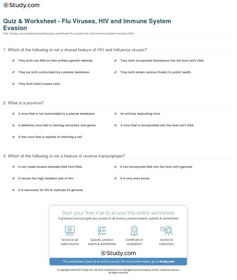 Drawing Conclusions Worksheet Practice Activity Free